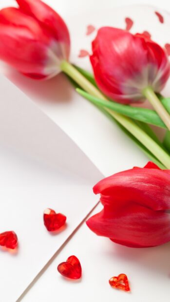 Red tulips with hearts decoration on white surface for hearts and flowers design