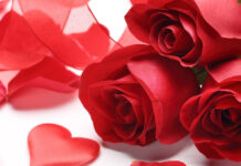 A close up of red roses and hearts surrounded by rose petals in high definition