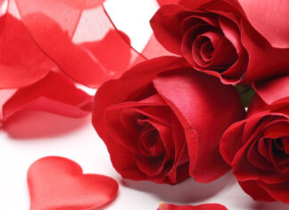 A close up of red roses and hearts surrounded by rose petals in high definition
