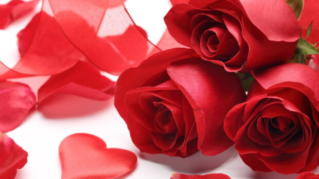 A close up of red roses and hearts surrounded by rose petals in high definition
