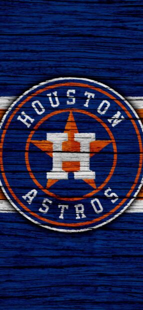 Houston Astros logo painted on textured wooden surface with vintage style