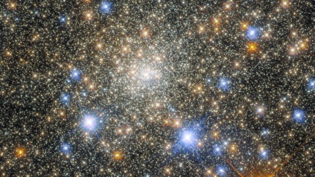 Dense cluster of stars captured by Hubble showcasing vibrant colors and sparkling details