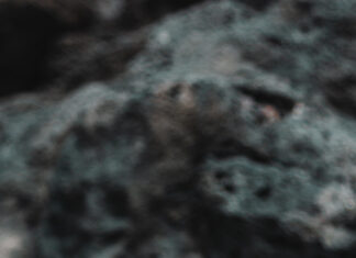 A close up of an iguana resting on a dark volcanic rock surface