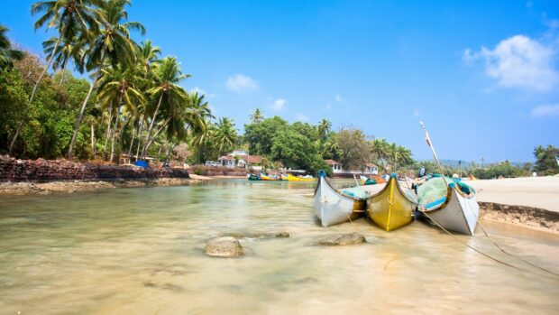 Traditional Indian fishing boats near palm trees in India