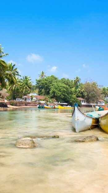 Traditional fishing boats docked in a peaceful Indian coastal village with lush greenery