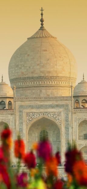 The Taj Mahal dome with colorful flowers in foreground showcasing India architecture