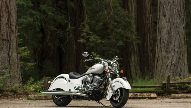 A white Indian bike parked on a forest road surrounded by tall trees