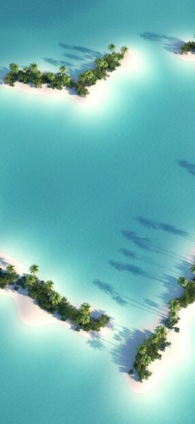 Tropical island with palm trees in the Indian Ocean surrounded by turquoise water