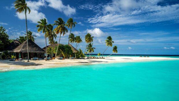 Tropical island with palm trees and turquoise water in the Indian Ocean