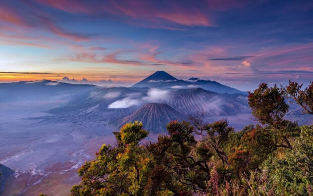 Indonesia volcanic landscape with Mount Bromo and lush greenery in the foreground at sunrise