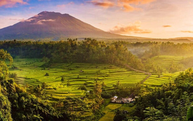 Vibrant Indonesia rice terraces with mountains and tropical forest at sunrise