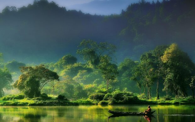 A peaceful scene of Indonesia with lush green trees and a person rowing a boat on calm water