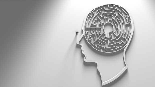 A maze shaped like a head representing innovation and creativity in problem solving