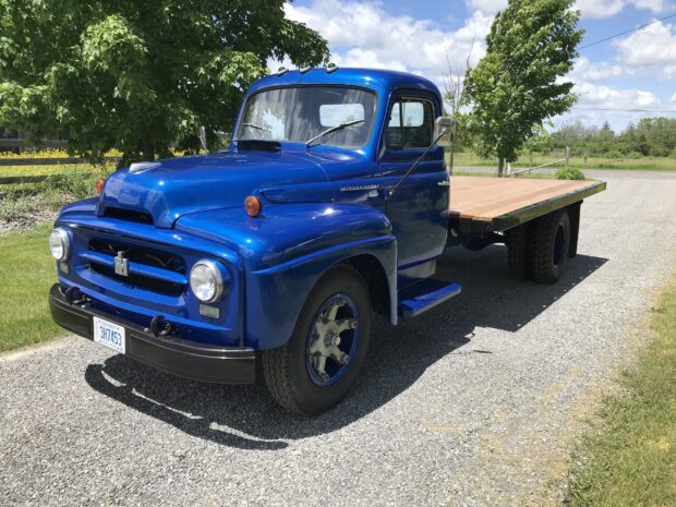 Classic blue International Harvester truck parked on a gravel road surrounded by green trees