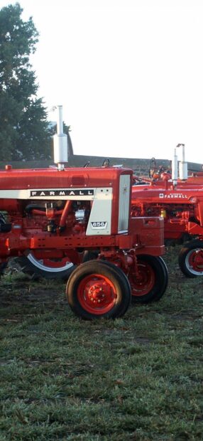 Red Farmall 656 tractor parked on grass in a field with trees in the background