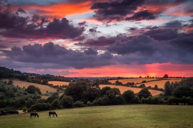 A peaceful Irish countryside landscape with horses grazing at sunset under colorful skies