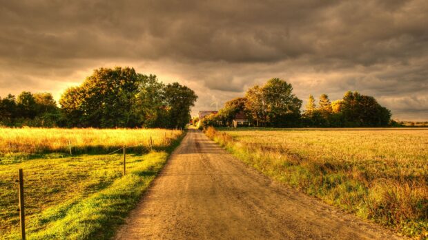 A dirt road runs through the Irish countryside with green fields and trees under cloudy skies