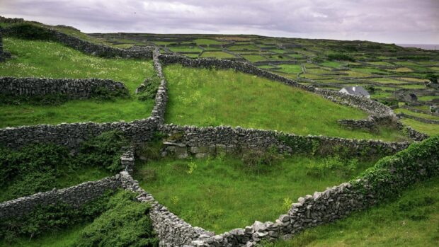Traditional Irish countryside with green fields divided by stone walls under cloudy sky