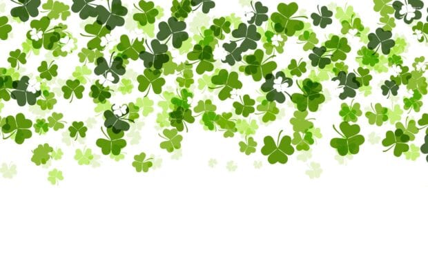 A pattern of various green shades of shamrock plants filling the top part of the image