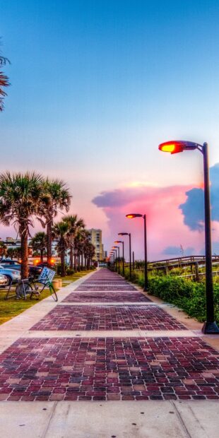Sunset sky with palm trees along the city walkway in Jacksonville
