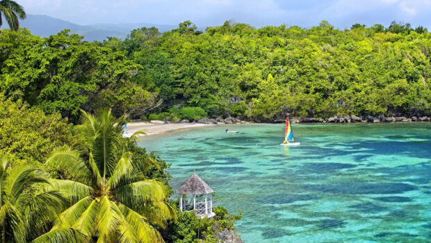 Lush Jamaica greenery with a colorful sailboat on clear turquoise waters near a sandy beach