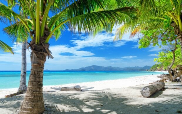 Tropical beach with palm trees and clear blue sea in Jamaica