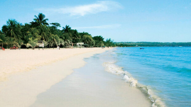 A peaceful Jamaica beach with sandy shore and lush palm trees lining the coastline