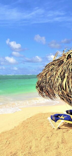 A serene beach with golden sand and tropical plant in Jamaica coastline