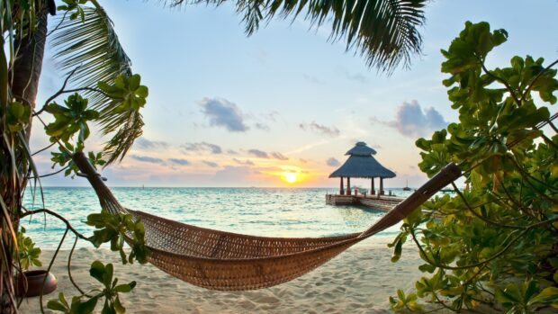 A serene Jamaica beach scene with a hammock between palm trees at sunset
