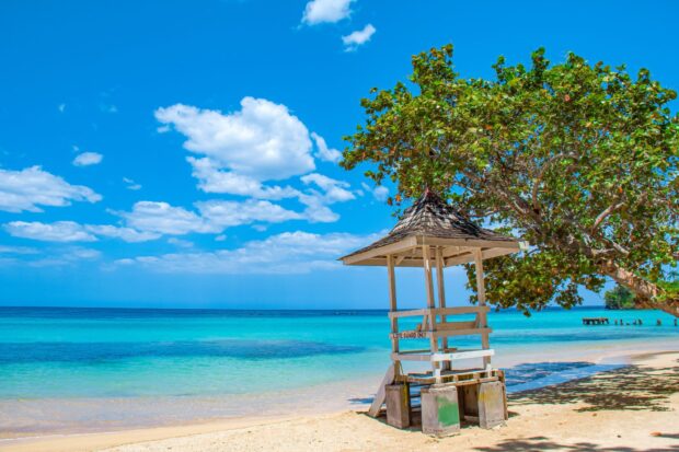 A lifeguard stand on a sandy beach with turquoise water and a large tree in Jamaica