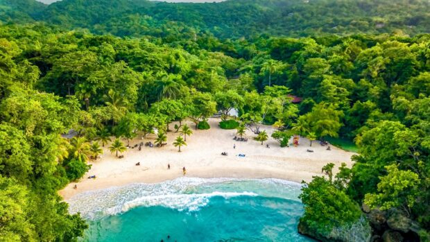 Lush green forest surrounding a pristine sandy beach in Jamaica