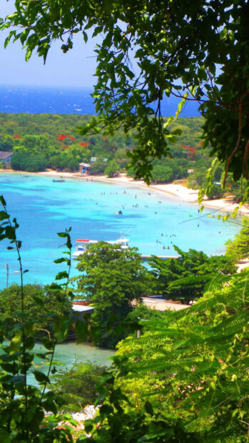 Clear turquoise water and lush greenery of Jamaica coast viewed through tree branches