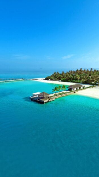 Tropical paradise with crystal clear water and palm trees in Jamaica