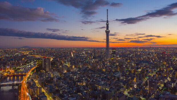 Japan skyline at sunset with illuminated city buildings and a tall tower in 4k quality