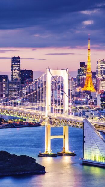 The Japan skyline features the illuminated bridge and iconic Tokyo Tower at dusk