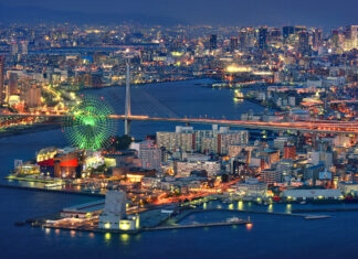 Night view of Japan skyline with illuminated buildings and a green ferris wheel