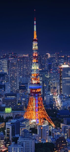 Japan skyline illuminated at night with Tokyo Tower standing prominently among city buildings