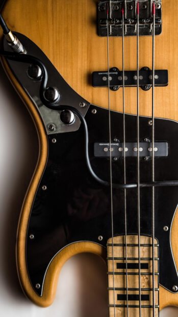 Close up of jazz guitar strings and pickups on wooden instrument body