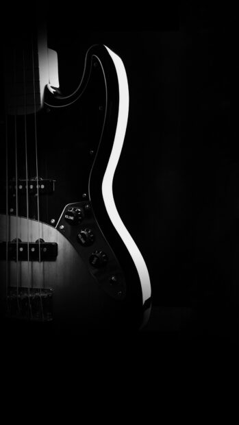 Close up of jazz electric guitar controls in black and white
