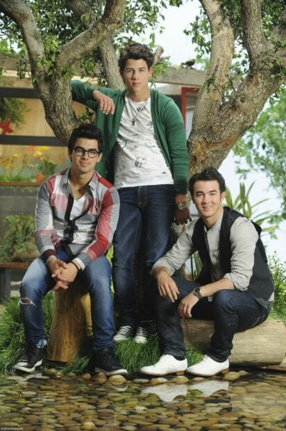 The Jonas Brothers posing outdoors near a tree and a pond with greenery in the background