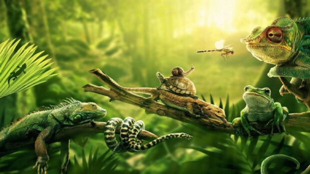 A variety of jungle animal including lizard snake frog and turtle on branches in a lush green setting