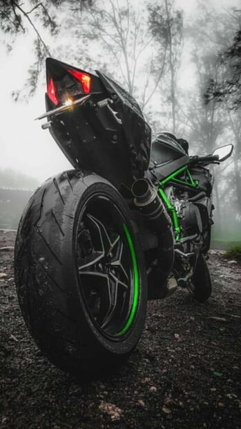 A Kawasaki motorcycle with green frame details parked on a foggy forest road