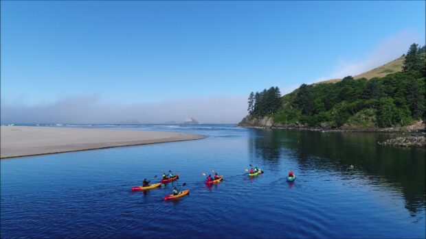 A group of kayaking enthusiasts paddling on calm blue water near a sandy shore and green hillside