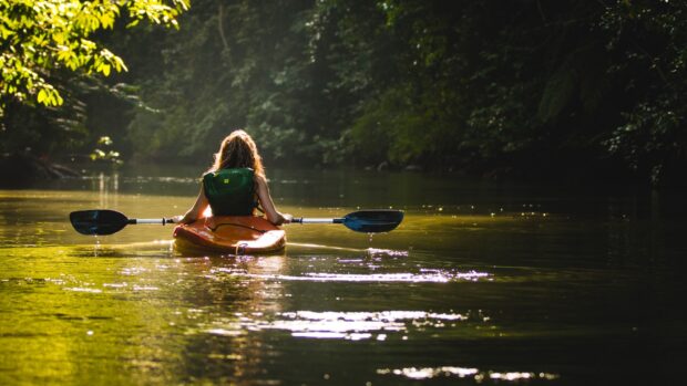 A person kayaking through a calm river surrounded by lush green forest