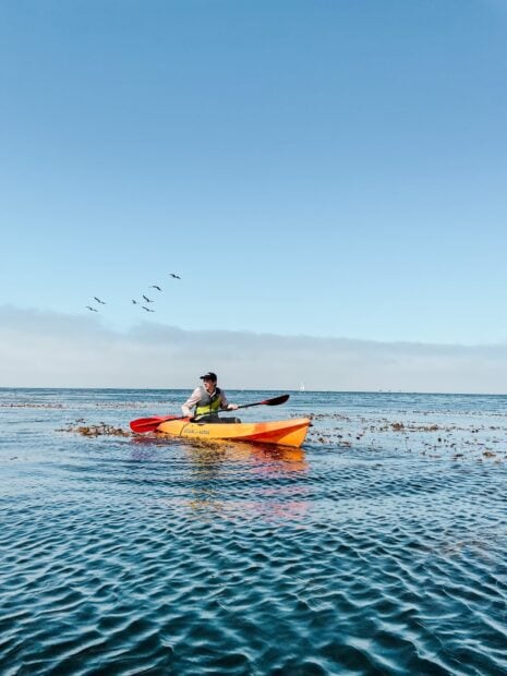 A person kayaking on calm water during a clear day with birds flying overhead