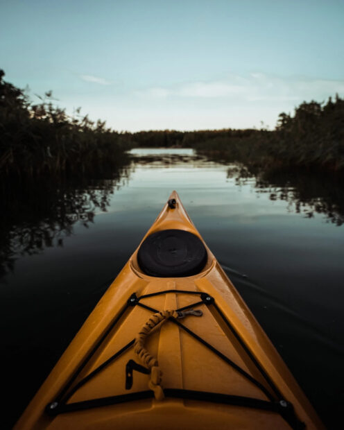 A yellow kayak sailing on calm water surrounded by dense green vegetation