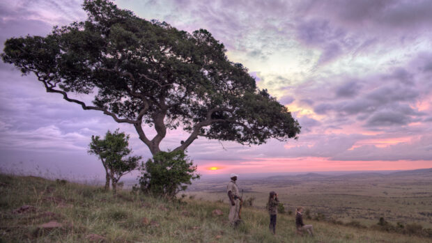 A safari guide with tourists on a grassy hill overlooking the Kenya landscape at sunset