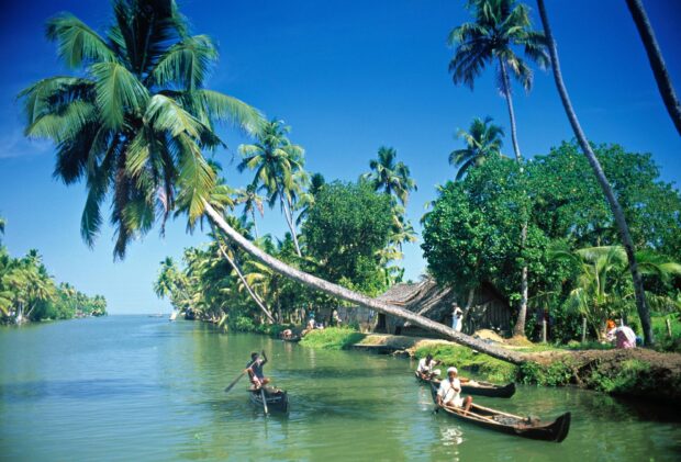 Traditional Kerala scenery with people paddling boats on the backwaters under palm trees