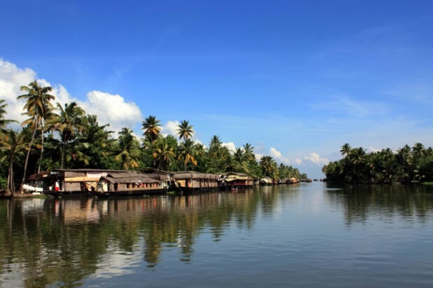 Traditional Kerala houseboats floating along lush palm trees on calm water in Kerala