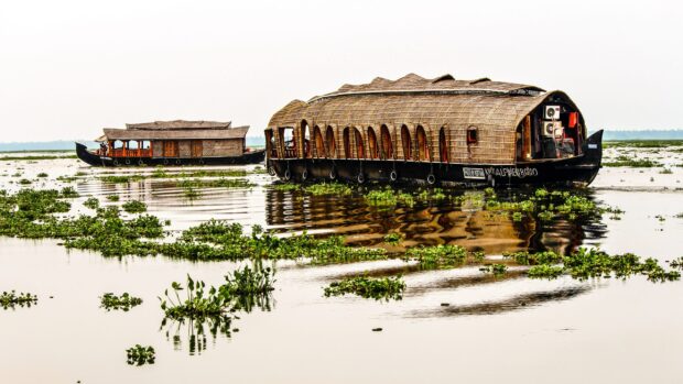 Traditional Kerala houseboats floating on calm water in Kerala backwaters